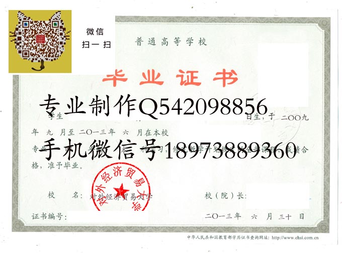 对外经济贸易大学2013电子 拷贝.jpg